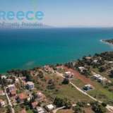  SEASIDE RESIDENTIAL PROPERTY, 5 APARTMENTS, 500sqm, 3 FLOORS ELIGIBLE FOR A GOLDEN VISA UP UNTIL 31 AUGUST 2024THE PROPERTYThe property is located near Paralia Avlidas (close to Chalkida), 100 meters from the beach, overlooking Evia island Avlida 8170148 thumb21