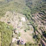  Radanovici, Kotor-Exclusive land of 83,000 m² with vineyard, lake and spring water Radanovici 8170207 thumb30