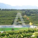  Radanovici, Kotor-Exclusive land of 83,000 m² with vineyard, lake and spring water Radanovici 8170207 thumb33