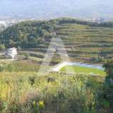  Radanovici, Kotor'da bağ, göl ve kaynak suyu bulunan 83.000 m²'lik özel mülk Radanovici 8170207 thumb34