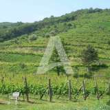  Radanovici, Kotor-Exclusive land of 83,000 m² with vineyard, lake and spring water Radanovici 8170207 thumb29