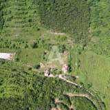  Radanovici, Kotor-Exclusive land of 83,000 m² with vineyard, lake and spring water Radanovici 8170207 thumb7