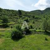  Radanovici, Kotor-Exclusive land of 83,000 m² with vineyard, lake and spring water Radanovici 8170207 thumb22
