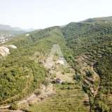  Radanovici, Kotor-Exclusive land of 83,000 m² with vineyard, lake and spring water Radanovici 8170207 thumb28