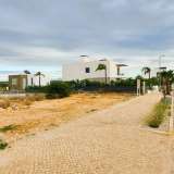   Alcantarilha e Pera (Centrálne Algarve) 7070208 thumb5