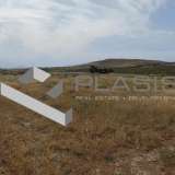  (For Sale) Land Agricultural Land  || Cyclades/Paros - 38.046 Sq.m, 1.230.000€ Paros 8170273 thumb6