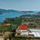  For Sale - (€ 0 / m2), Agricultural 11250 m2 Troizinia 7870004 thumb8
