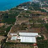  For Sale - (€ 0 / m2), Agricultural 11250 m2 Troizinia 7870004 thumb5