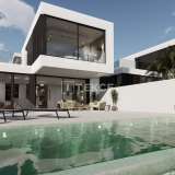  Stylish Villas with Personal Swimming Pools in Rojales Alicante 8170407 thumb2