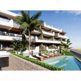  Elegant Apartments with Communal Pool in Benijofar Alicante 8170418 thumb1