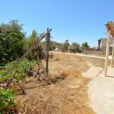  Quaint 1 bedroom bungalow on spacious plot in residential area of Frenaros village with Title deed for land! Situated in a quiet, family orientated area of Frenaros village this little bungalow makes a great investment. Even for the land alone, it makes a Frenaros 5170050 thumb6