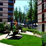 1 bedroom apartment in Tarsis complex for 63 200 Euro, 50 sq. M., Sunny Beach, Bulgaria #31293488 Sunny Beach 7770541 thumb18