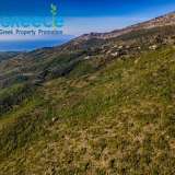  Investment plot of 18.612sq.m. in old Skalla, Kefalonia, out of plan, non-forest, just 2.5km from Skala, with panoramic views of the Peloponnese, Zakynthos and the Ionian Sea. Ideal for agricultural, livestock and photovoltaic park investment and all kind Kefalonia 7570581 thumb0
