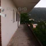  (For Sale) Residential Detached house || Voiotia/Distomo - 350 Sq.m, 6 Bedrooms, 600.000€ Distomo 7570588 thumb8