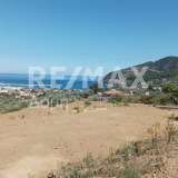  For Sale - (€ 0 / m2), Agricultural 4032 m2 Skopelos 7470617 thumb0