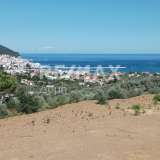  For Sale - (€ 0 / m2), Agricultural 4032 m2 Skopelos 7470617 thumb9