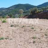  For Sale - (€ 0 / m2), Agricultural 4032 m2 Skopelos 7470617 thumb6