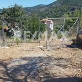  For Sale - (€ 0 / m2), Agricultural 4032 m2 Skopelos 7470617 thumb5