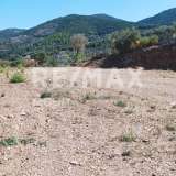  For Sale - (€ 0 / m2), Agricultural 4032 m2 Skopelos 7470617 thumb8