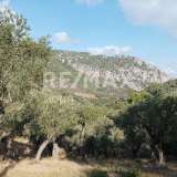  For Sale - (€ 0 / m2), Agricultural 4195 m2 Skiathos 7470621 thumb0