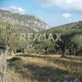  For Sale - (€ 0 / m2), Agricultural 4195 m2 Skiathos 7470621 thumb3