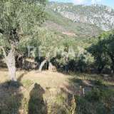  For Sale - (€ 0 / m2), Agricultural 4195 m2 Skiathos 7470621 thumb7