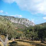  For Sale - (€ 0 / m2), Agricultural 4195 m2 Skiathos 7470621 thumb2