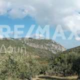 For Sale - (€ 0 / m2), Agricultural 4195 m2 Skiathos 7470621 thumb4