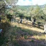  For Sale - (€ 0 / m2), Agricultural 4195 m2 Skiathos 7470621 thumb6
