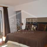   Funchal 5470064 thumb8