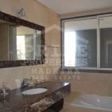   Funchal 5470064 thumb17