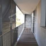   Funchal 5470064 thumb26