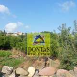  (For Sale) Land Plot || Chios/Chios - 6.000 Sq.m, 350.000€ Chios 7670078 thumb5