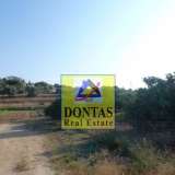  (For Sale) Land Plot || Chios/Chios - 6.000 Sq.m, 350.000€ Chios 7670078 thumb7