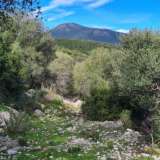 For Sale - (€ 0 / m2), Agricultural 4103 m2 Lefkada 7570867 thumb6