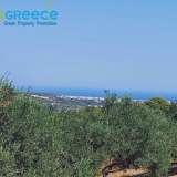  For sale a plot of 6.607 sq.m. outside the city plan outside Heraklion and specifically in the area of Spilia, 3.5km from Knossos. Even and buildable, builds 233 sq.m. clean. Frontage on asphalt, with unobstructed views. It contains 110 olive trees.Ideal  Heraclion Cretes 8170989 thumb1