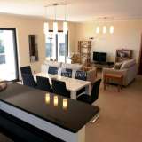   Calheta 6271448 thumb11