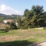  For Sale - (€ 0 / m2), Agricaltural 4050 m2 Pallini 4371465 thumb7
