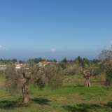  For Sale - (€ 0 / m2), Agricaltural 4050 m2 Pallini 4371465 thumb3