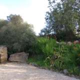   Paderne (Zentral Algarve) 8171486 thumb17