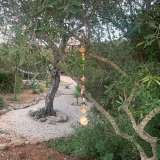   Paderne (Zentral Algarve) 8171486 thumb16