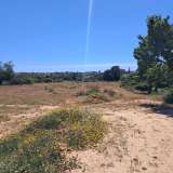  Para Venda, Lagoa (Algarve) Porches (Central Algarve) 8171509 thumb5