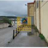  (For Sale) Commercial Industrial Area || Voiotia/Oinofyta - 4.800 Sq.m, 2.750.000€ Oinofita 7671796 thumb2
