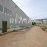  For Sale - (€ 0 / m2), Industrial Site 2034 m2 Férai 8171866 thumb4