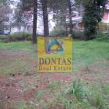  (For Sale) Land Plot || East Attica/Drosia - 1.425 Sq.m, 1.200.000€ Drosia 6371907 thumb2