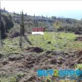  SALE OF ONE PLOT IN THE MESSINIAN MANIPlot for sale in the Messinian Mani, located approximately 50 km fromKalamata and 8 km from Stoupa of Messinia, which is one of the biggest touristresorts in Peloponnese with some of the most beautiful Sminos 8172237 thumb11