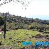  SALE OF ONE PLOT IN THE MESSINIAN MANIPlot for sale in the Messinian Mani, located approximately 50 km fromKalamata and 8 km from Stoupa of Messinia, which is one of the biggest touristresorts in Peloponnese with some of the most beautiful Sminos 8172237 thumb9