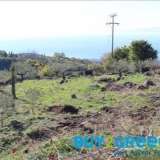 SALE OF ONE PLOT IN THE MESSINIAN MANIPlot for sale in the Messinian Mani, located approximately 50 km fromKalamata and 8 km from Stoupa of Messinia, which is one of the biggest touristresorts in Peloponnese with some of the most beautiful Sminos 8172237 thumb2