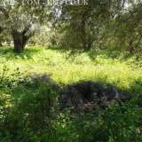  A plot of land with a total area of â€‹â€‹1,200 sq.m. is for sale. in Lefkada and specifically in the area of â€‹â€‹Poros, Mikros Gialos, within the plan and buildable with the possibility of building around 400 sq.m.At a distance of 1 Ellomeno 8172251 thumb4