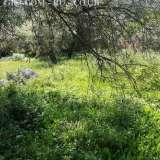  A plot of land with a total area of â€‹â€‹1,200 sq.m. is for sale. in Lefkada and specifically in the area of â€‹â€‹Poros, Mikros Gialos, within the plan and buildable with the possibility of building around 400 sq.m.At a distance of 1 Ellomeno 8172251 thumb5